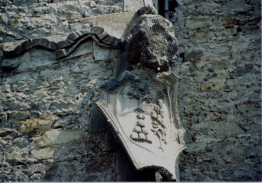 Stemma araldico famiglia Chigi