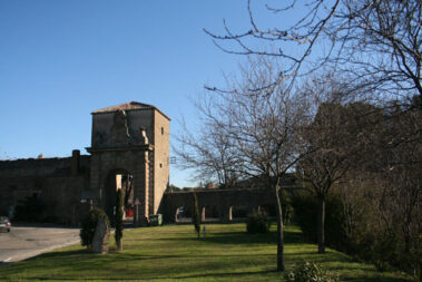 Viterbo Città d'Arte - Porta Faul