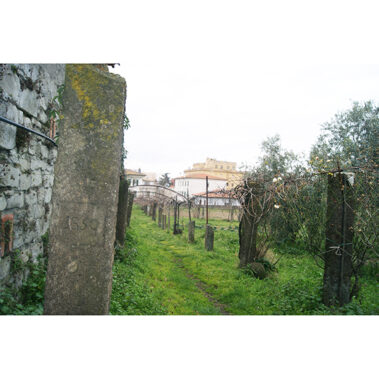 Viterbo. Convento San Paolo ai Cappuccini.